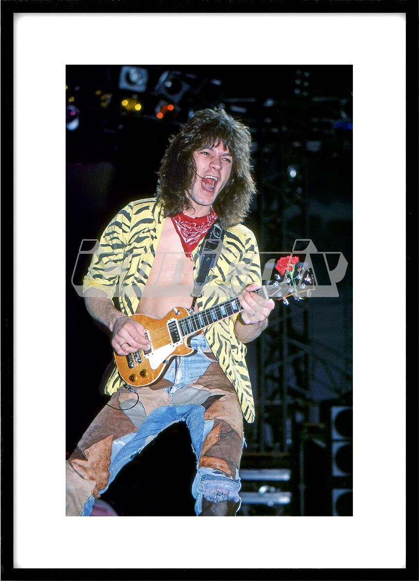 VAN HALEN - Eddie Van Halen - performing live on the 1984 Tour at Madison Square Garden in New York City Ny USA - 30 Mar 1984. Photo: © David Plastik/IconicPix