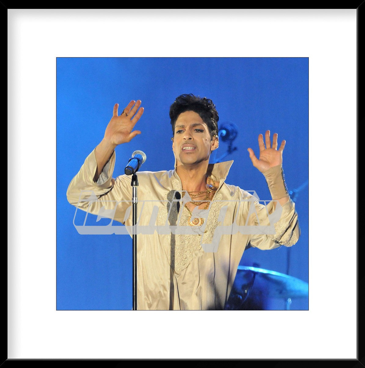 PRINCE (2011)